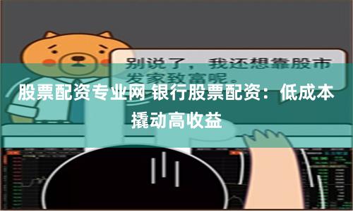 股票配资专业网 银行股票配资：低成本撬动高收益