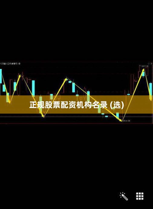 正规股票配资机构名录 (选)